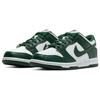 Nike Dunk Low GS Michigan State Kids Sneakers White Team-Green Total-Orange CW1590-102