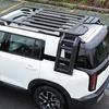 Aluminum Roof Platform with Foldable Ladder for Ford Explorer/Edge/Territory
