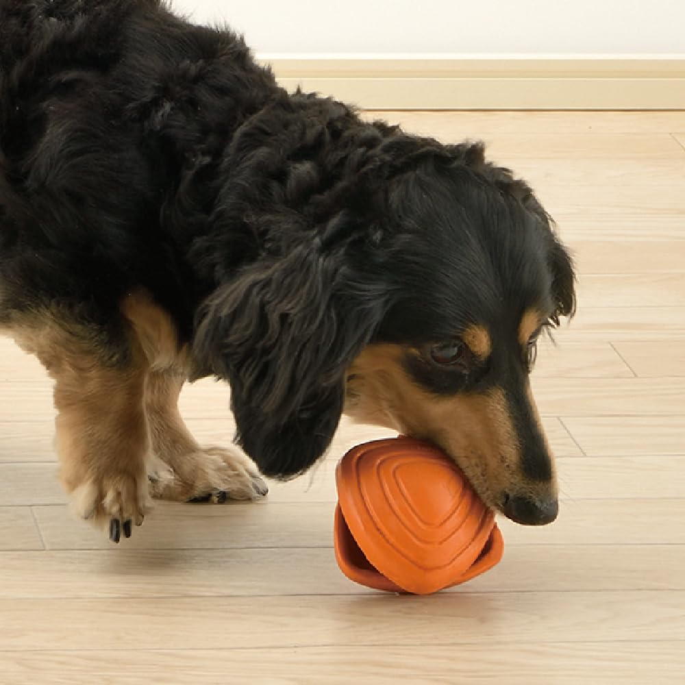 Richelle Клей Пек S Оранжевый