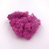 L&B Artificial Plant Preserved Flower Reindeer Moss DIY Craft Garden Home Decor