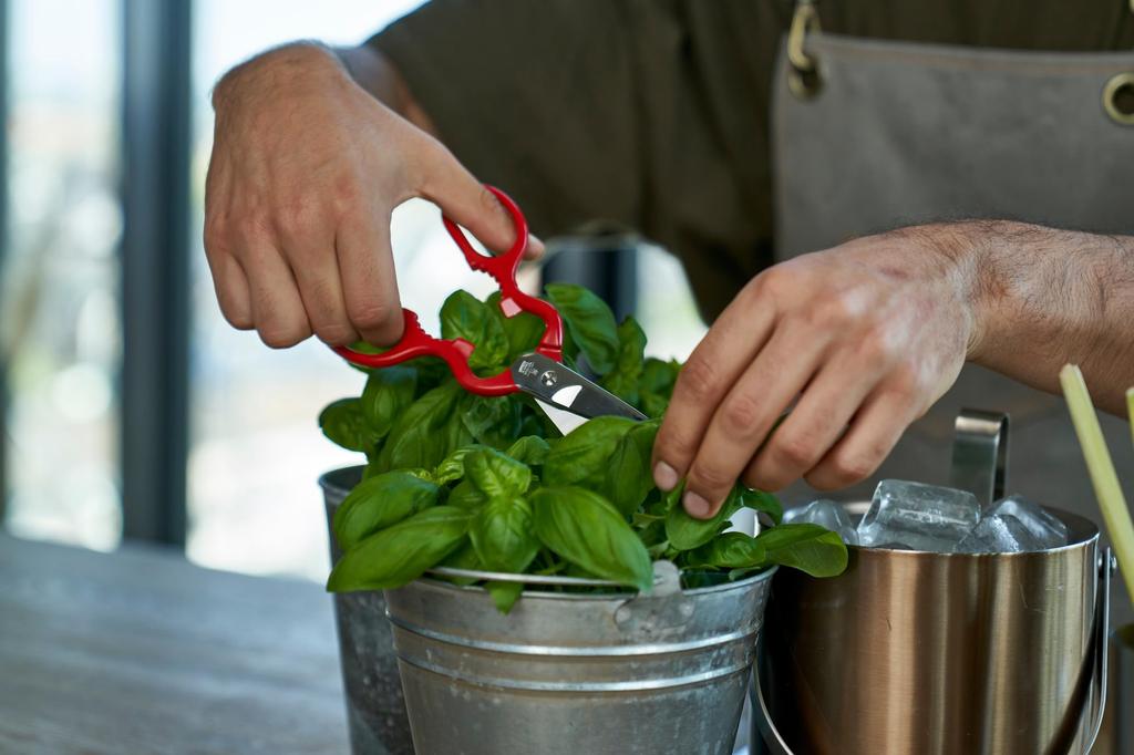 Zwilling Cooking Scissors Stainless Steel Kitchen Scissors Made In Germany Japanese "Classic Red" [Authorized Product] 43924-200