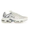 Женские кроссовки Air Max Plus Ashen Slate White Summit-White Light-Armory-Blue DZ3671-104