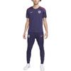 Nike Мужская футбольная майка Чернильно-фиолетовая FJ2919-555