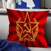 CCCP USSR Soviet Personalized Pillow Cover Kids Bedroom Wild Party Decor Pillowcase Kid Birthday Shower Gift