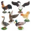 Farm Animal Chicken Duck Goose Pvc Model Set For Kids Education And Decor With Realistic Bird Figures