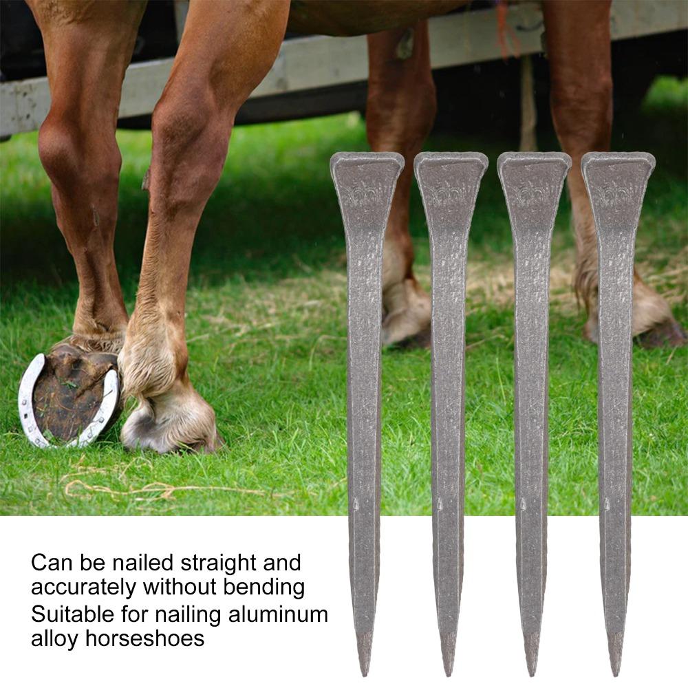 250pcs Low Carbon Steel Horseshoe Nails Durable Horse Shoe Nails Steel Nails Animal Husbandry