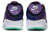 Nike Air Max 90 Violet Blend CZ5588-001