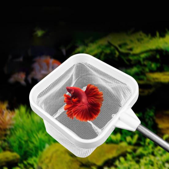 Сачок для аквариума с телескопической ручкой из нержавеющей стали, более глубокая сетка, квадратная сетка для аквариума, для креветок, остатков корма для мальков рыб