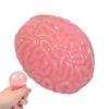 Realistic Antistress Toys Novelty Brain Toy Squeezable Relieve Stress Ball Squishy Brain Toy Halloween Decor