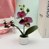 Potted Faux Phalaenopsis Flower For Event Decor And Indoor Embellishment Home