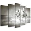 Five Piece Picture Canvas Print Gallop of the White Horses