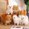 Premium Simulation Pomeranian Dog Plush Toy Cute High Quality Puppy Stuffed Animals Doll Cartoon Soft Birthday Gifts for Kids