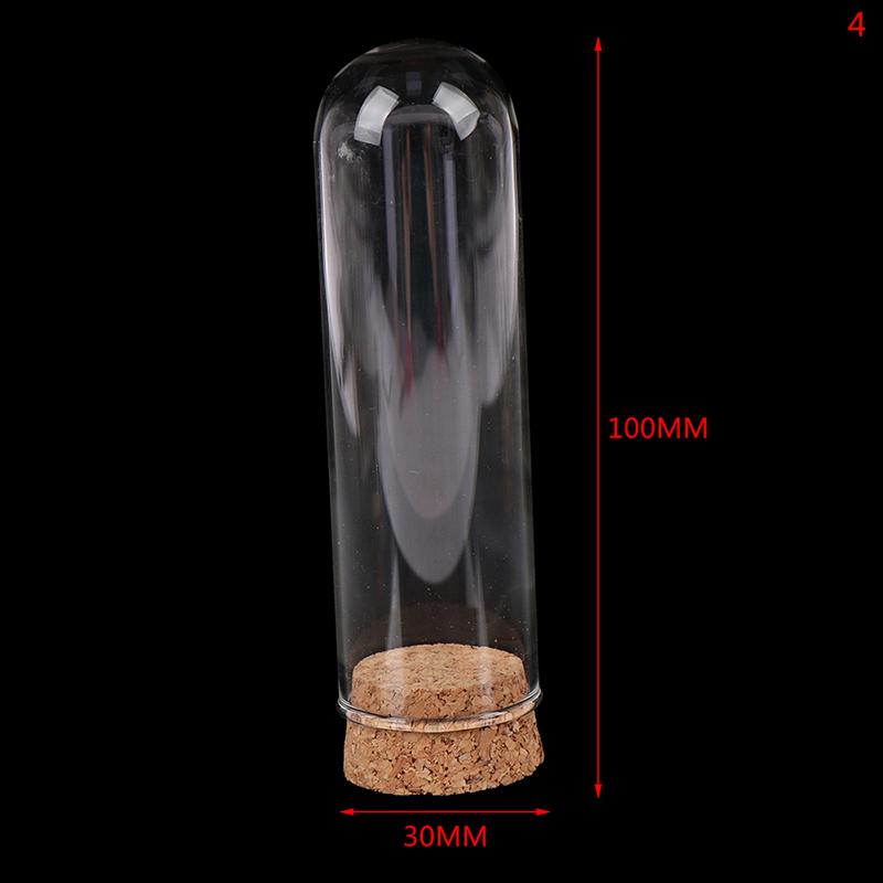 1/6 Doll Glass Dome Display Wood Cork Bell Jar With Wooden Base Decoation Craft