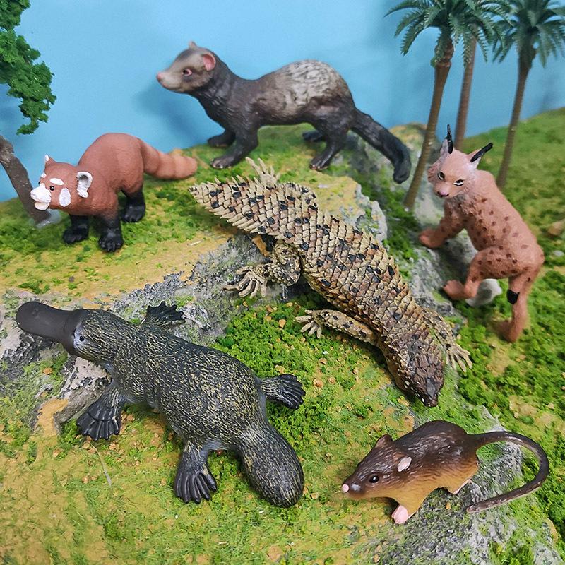 Симуляционная модель короткохвостой рыси, красной панды, утконоса, хорька, мыши, колючехвостой скальной ящерицы, рептилии, украшение