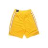 Nike Мужские баскетбольные шорты Los Angeles Lakers Swingman, желтые CD2625-728