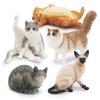 Children's Kitten Model Set: Ragdoll Cat, Lazy Orange Cat, Paw-Up Grey Cat, Sleeping Calico Cat, Lying Siamese Cat Figurines.