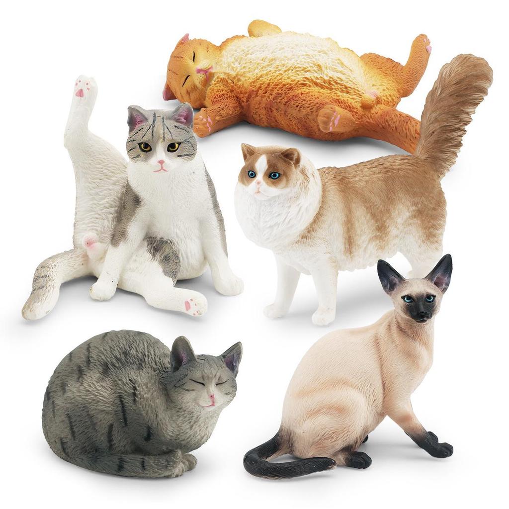 Children's Kitten Model Set: Ragdoll Cat, Lazy Orange Cat, Paw-Up Grey Cat, Sleeping Calico Cat, Lying Siamese Cat Figurines.