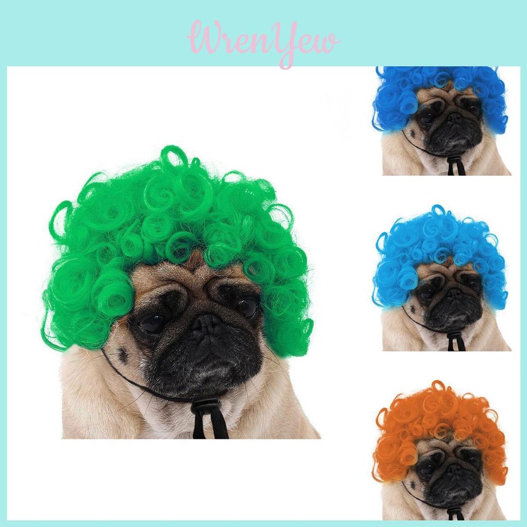 Adorable Black Color Pet Wig With Fun Afro Style For Halloween Parties And Festivals