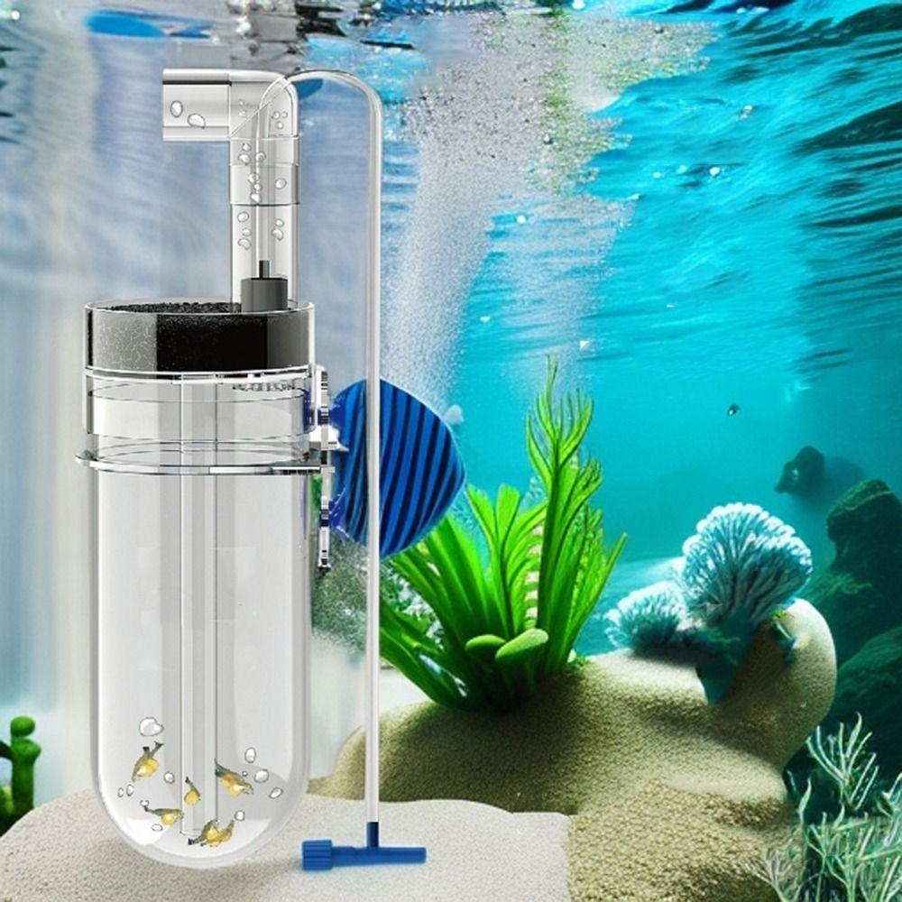 Prevent Fungus 60MM Fish Egg Incubator Plastic Cichlid Hatchery Shrimps Eggs Incubator Aquariums