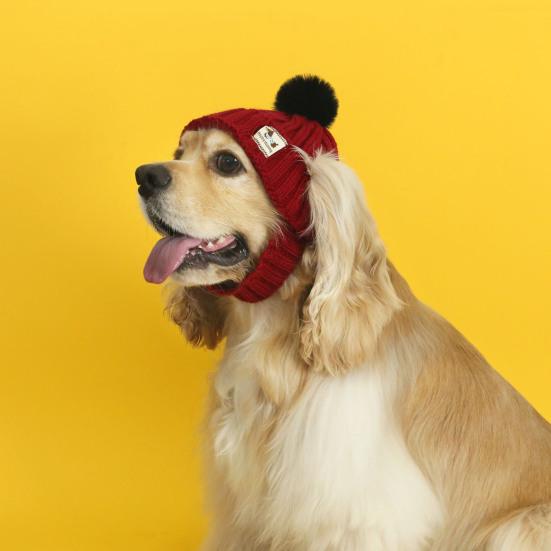 Knitted Dog Hat Cat Pompon Hat Winter Warm Hat with Ear Holes for Small