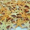 1 Box Natural Starfish Seashell Beach Craft Natural Sea Stars DIY Beach Wedding Decoration Crafts Home Decor