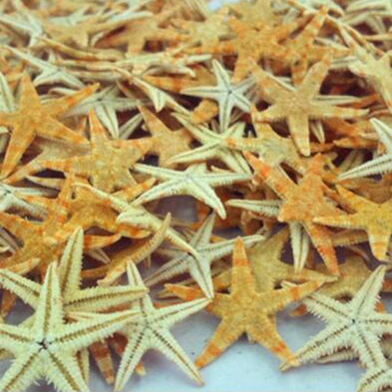 1 Box Natural Starfish Seashell Beach Craft Natural Sea Stars DIY Beach Wedding Decoration Crafts Home Decor