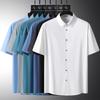 Men's Spring Summer Solid Color Business Ice Silk Short-sleeved Shirt Casual Non-marking Summer Lapel Shirt