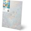 Paint By Number Picture 40X50 Cm Massido Turtle