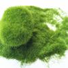 Material Garden Artificial Moss DIY Accessories Micro Landscape Decoration Artificial Grass Powder