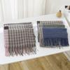 Autumn And Winter New Scarf Women'S Thickened Imitation Cashmere Versatile Student Friendly Shawl Long Checkered Scarf