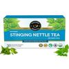 TEACURRY Stinging Nettle Tea (30 Tea Bags, 1 Month Pack) - Helps with Kidney Wellness, Level of Sugar - Stinging Nettle Tea