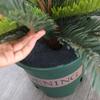 20pcs Degradable Round Weeds Barrier Mats Breathable Weeds Mulch Ring  For Garden Tree Protection