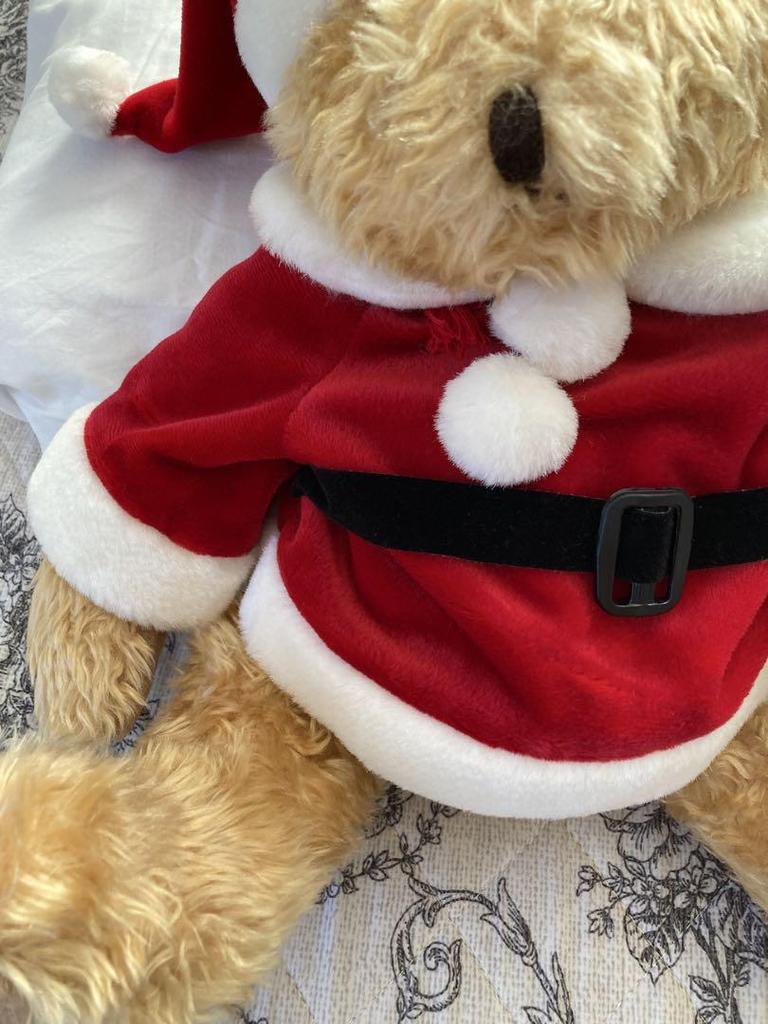 [USED] Santa Claus teddy bear backpack