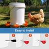 4PCS Automatic Chicken Water Feeder Drinking Cups Poultry Kit for Chicks Duck Goose Turkey Quail Feeding Watering Supplie