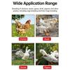 Efficient Electric Heated Waterer for Livestock with Safety Mechanisms Water Dispenser Feeder for Poultry Duck Chicken