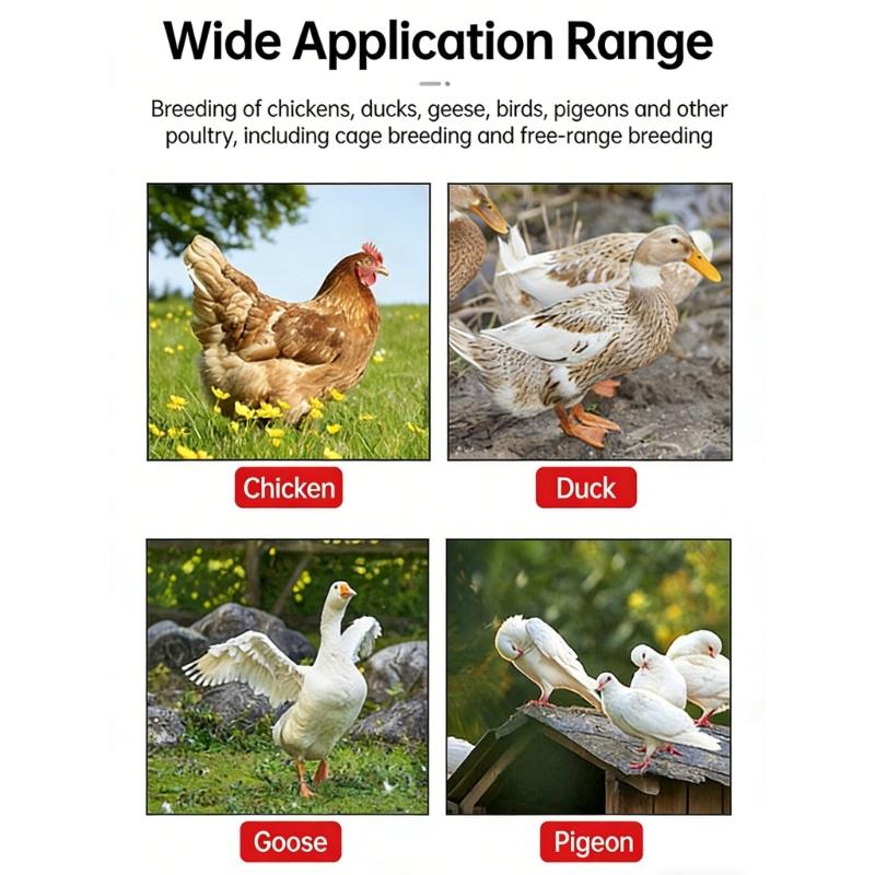 Efficient Electric Heated Waterer for Livestock with Safety Mechanisms Water Dispenser Feeder for Poultry Duck Chicken