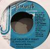 7inch Record ADMIRAL BAILEY - Set Up Your Self Right NONE King Jammy's 1997 Jamaica Reggae, Ska & Dub Used