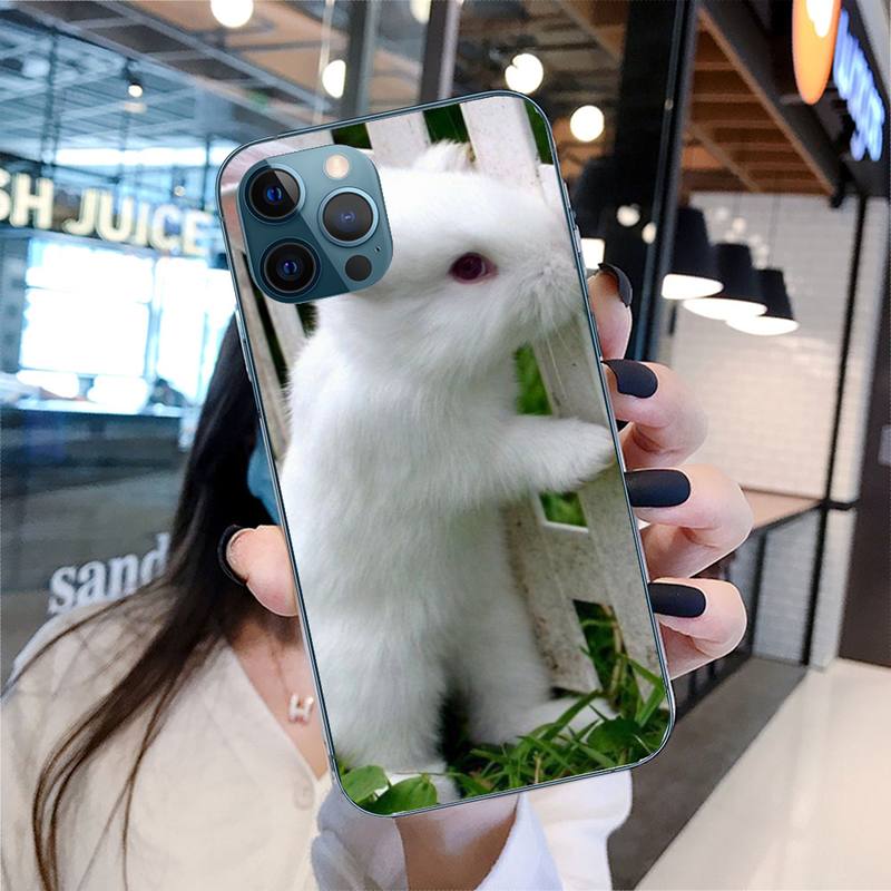 Милый чехол для телефона с кроликом для iPhone 11 12 13 Pro Max 5s 6s 7 8 Plus X Xr Xs Max Se 2020 13 Mini Чехол-накладка
