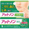 Atnon Acne Scar Care Gel 10g (Quasi-Drug) Wound and Suppurative Skin Preparations Indications: Skin Irritation/prone To Irrit