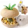 Игрушки для жевания хомяков для зубов - Игрушки для жевания морских свинок для зубов, жевательные лакомства для еды, аксессуары для клетки хомяка