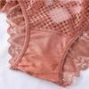 Sexy Mesh Women Lace Underwear Mid-Rise Briefs Hollow Out G String Underpant Solid Comfortable Female Breathable Lingerie