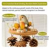 Cockatiel Toys Interactive Natural Funny Chew Swing Foraging Toys Bird Cage Accessories For Budgerigar Canary Conure Macaw