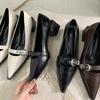 2025 Spring and Autumn New Fashion Versatile Thick Heel Pointed High Heel Single Shoes Women's Korean Version French Small Leather Shoes Retro