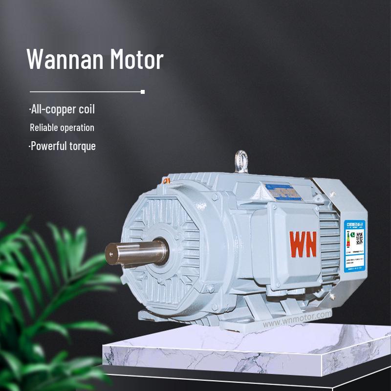 Anhui Wannan Motor YE5 Series All Copper Coil 30kW 37kW Three-Phase Asynchronous Motor