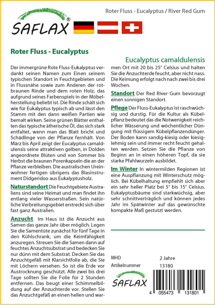 SAFLAX River Red Gum - 200 семян - Eucalyptus camaldulensis