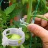 50/100pcs Plastic Plant Clips Supports Connects Reusable Protection Grafting Fixing Tool Gardening Supplies for Vegetable Tomato