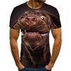 Summer Round Neck 3D Pet Dog Print Top Fashionable Casual Short Sleeved Men's T-shirts