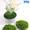 30g Simulation Green Moss Fake Moss For Potted Plants Ornaments Micro Landscape Flower Moss Home Garden Decors DIY Crafts