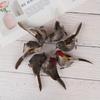 1pc DIY Cute Artificial Bird Foam Vividly Feather Mini Tit Craft Birds Emulation Decoration Model Sparrow
