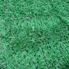 Artificial Grass Mat Synthetic Thicken Auto Return